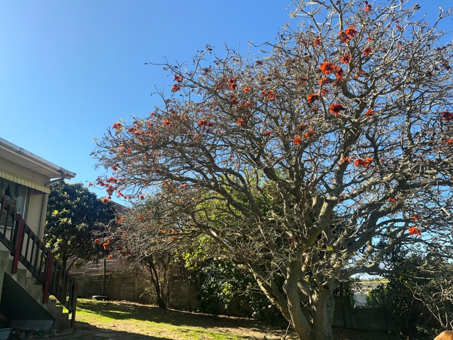 2 Bedroom Property for Sale in Aston Bay Eastern Cape